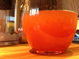 wtity20130831-rhubarb cordial